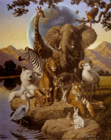 Animals2